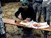 Jahr 1988
